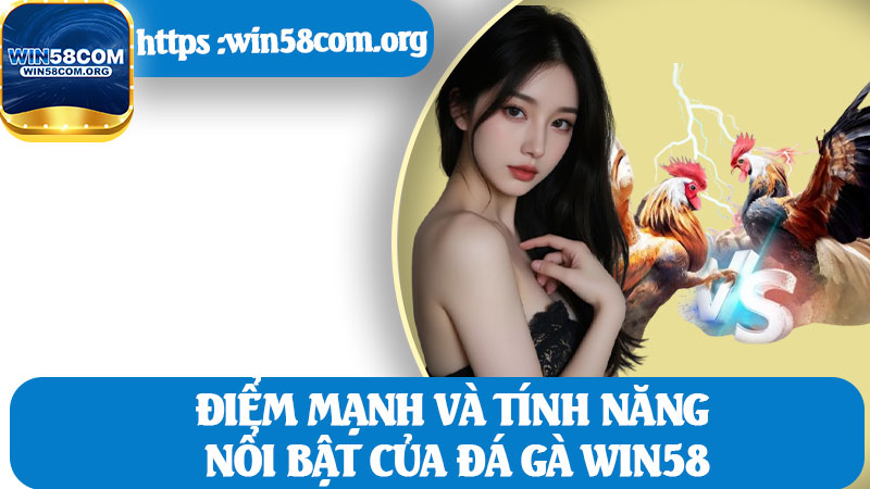 Điểm Mạnh Và Tính Năng Nổi Bật Của Đá Gà Win58