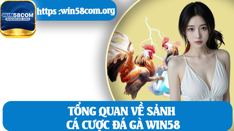 Tổng Quan Về Sảnh Cá Cược Đá Gà Win58